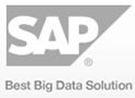 SAP Best Big Data Solution